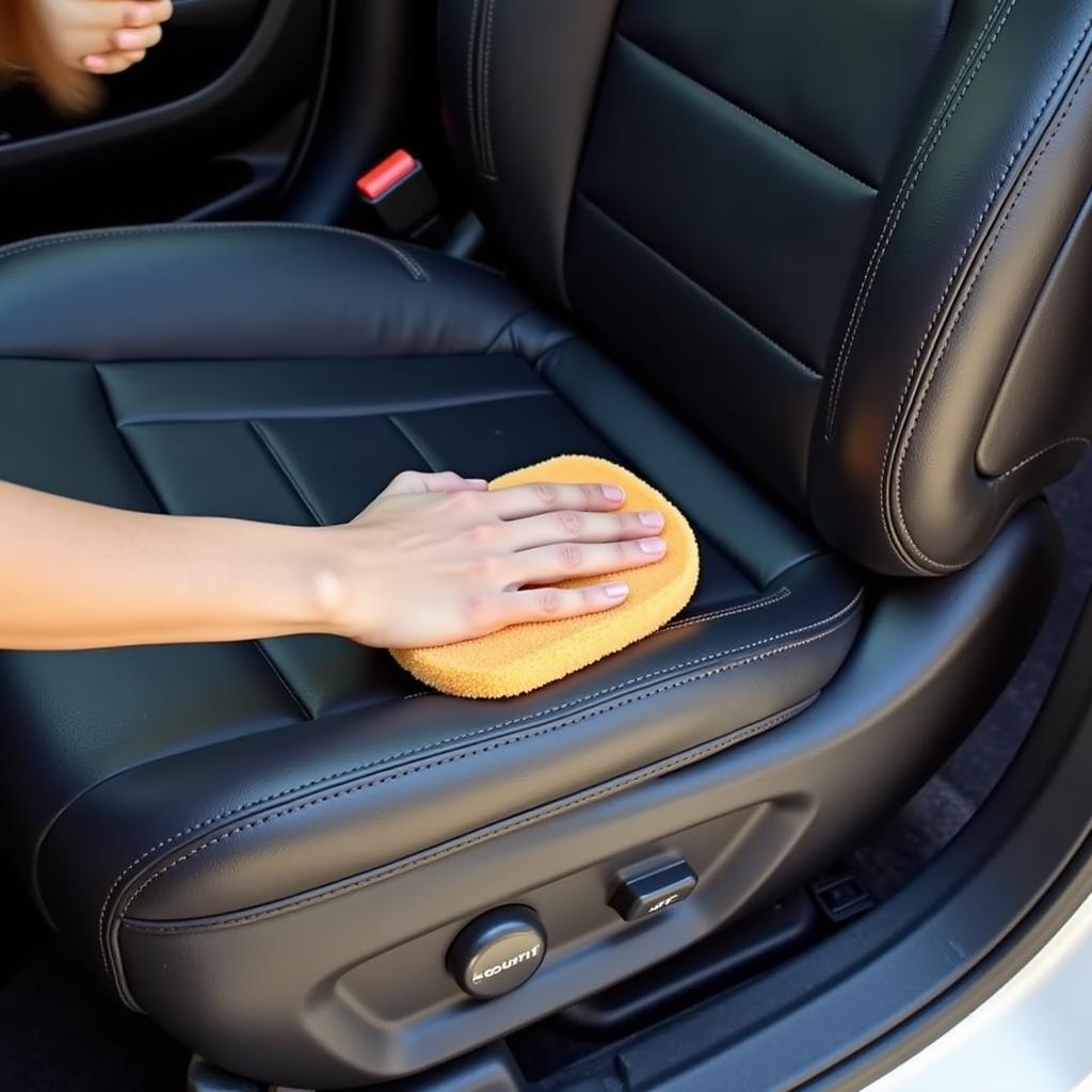 Applying Leather Conditioner on Car Seat