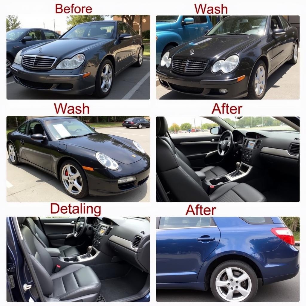 Best Car Detailing Services in Santa Rosa