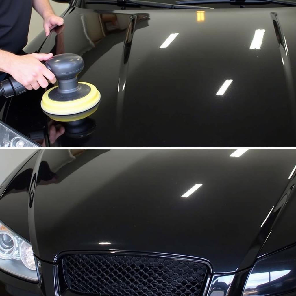 Black Car Paint Correction Process