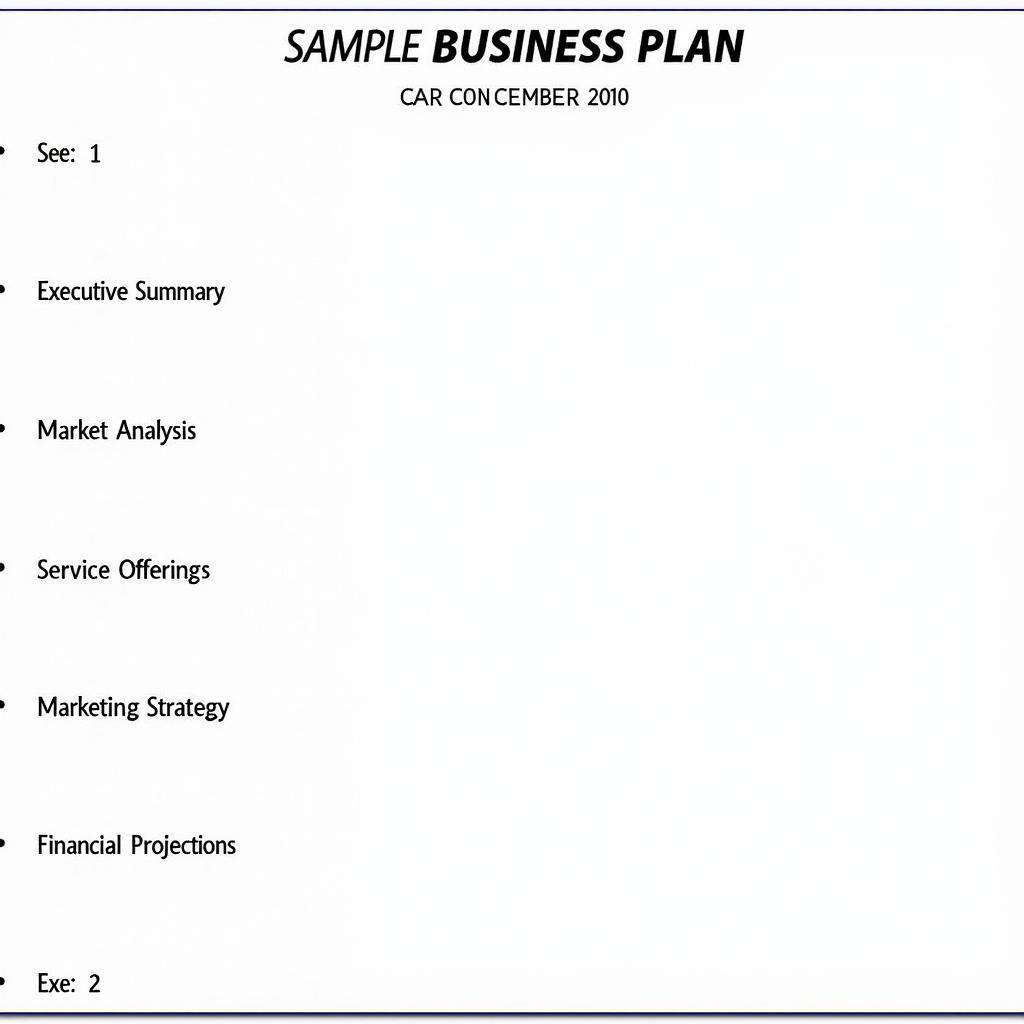 Business Plan Example for Car Detailing Business