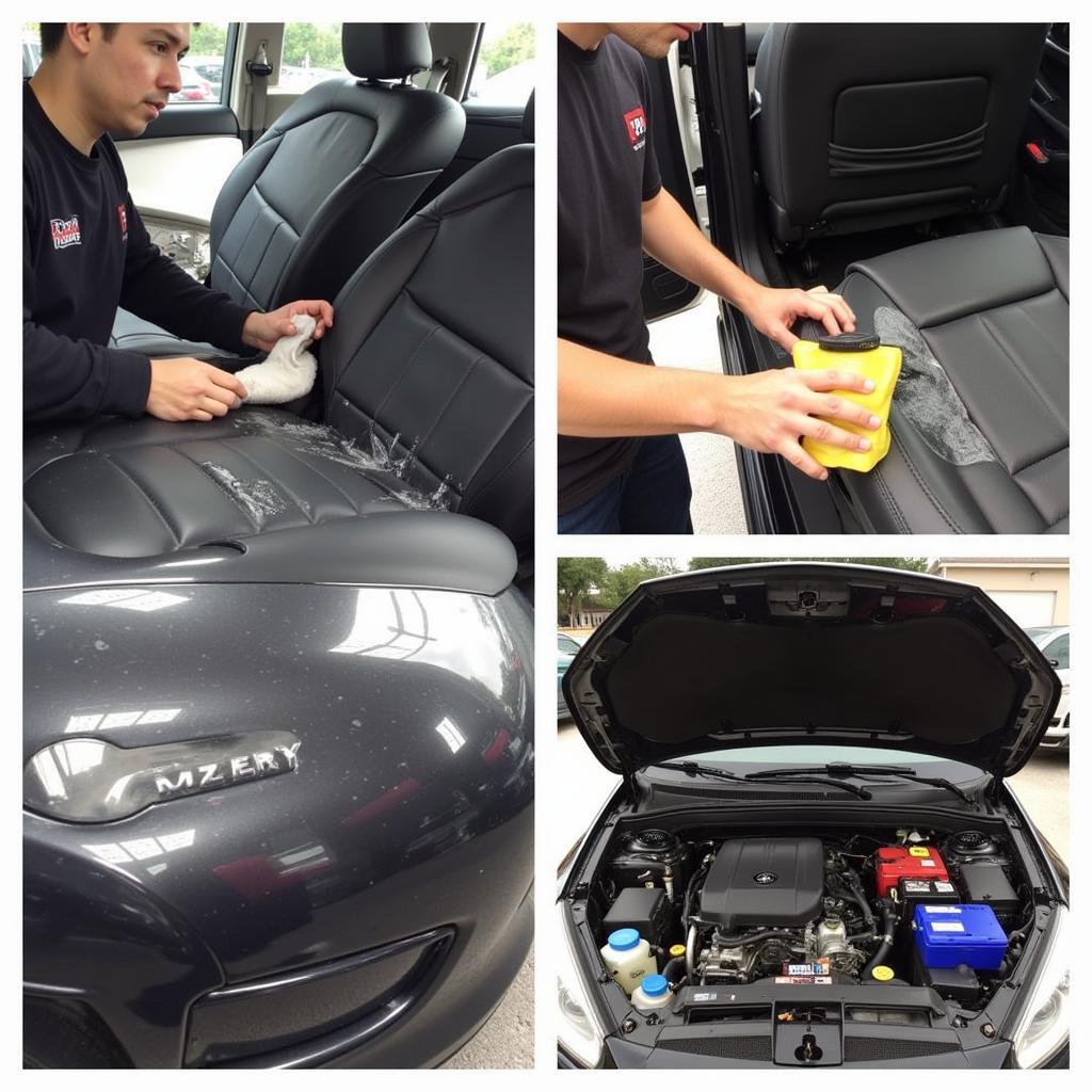 Car Detailing Services in Austin, Texas