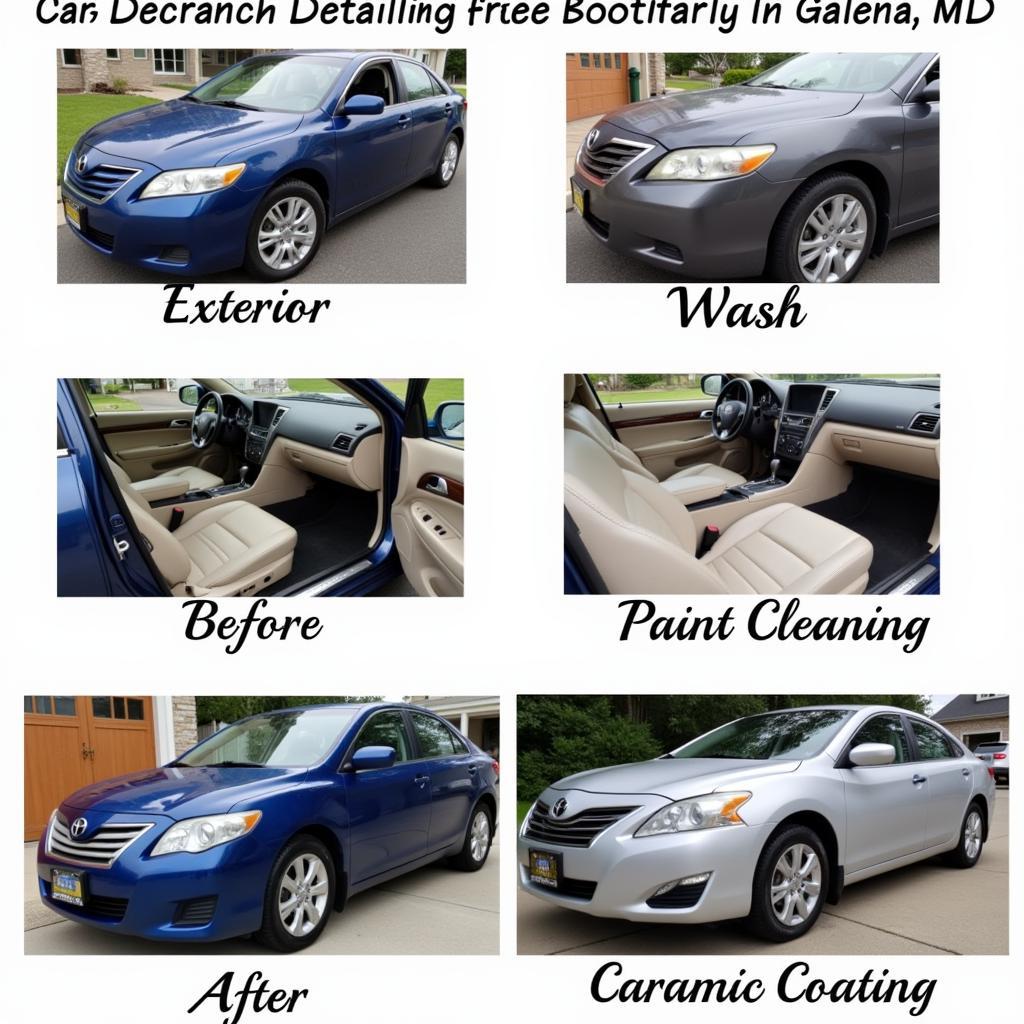 Car Detailing Services in Galena, MD