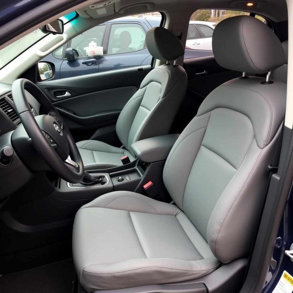 Interior Car Detailing Denistone East