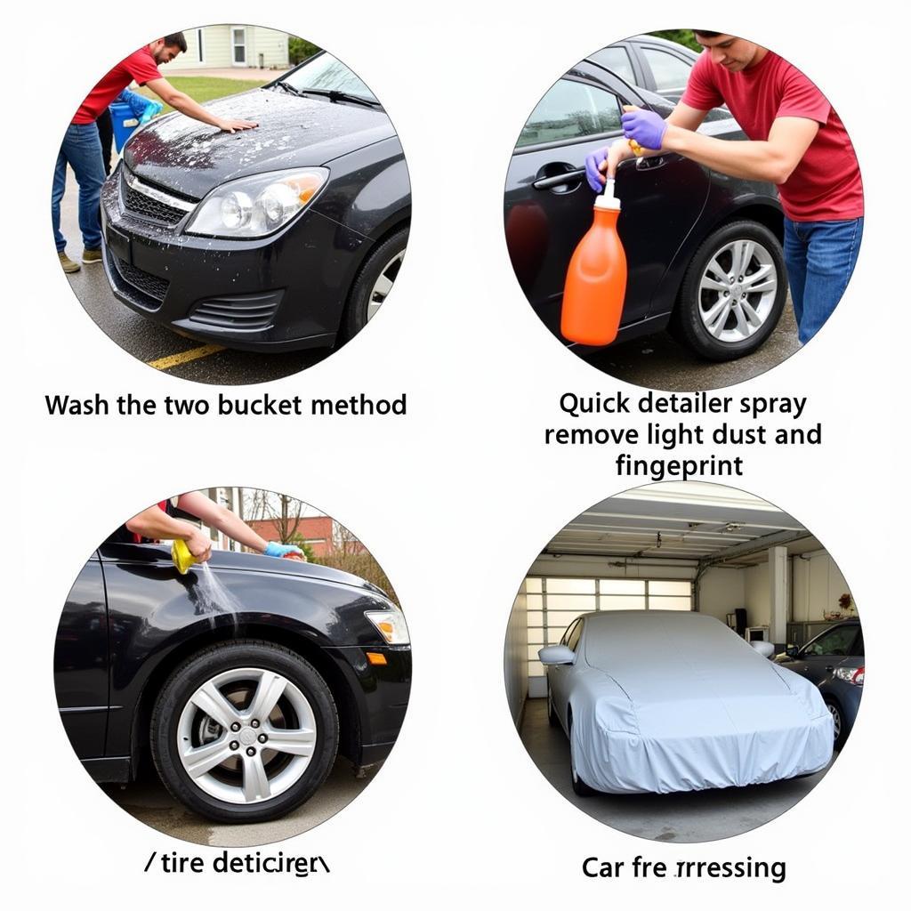 Tips for Maintaining Your Car's Detail