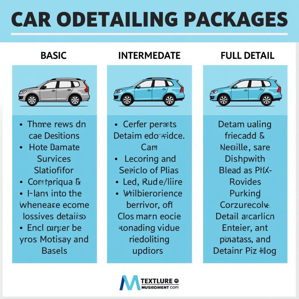 Car Detailing Packages