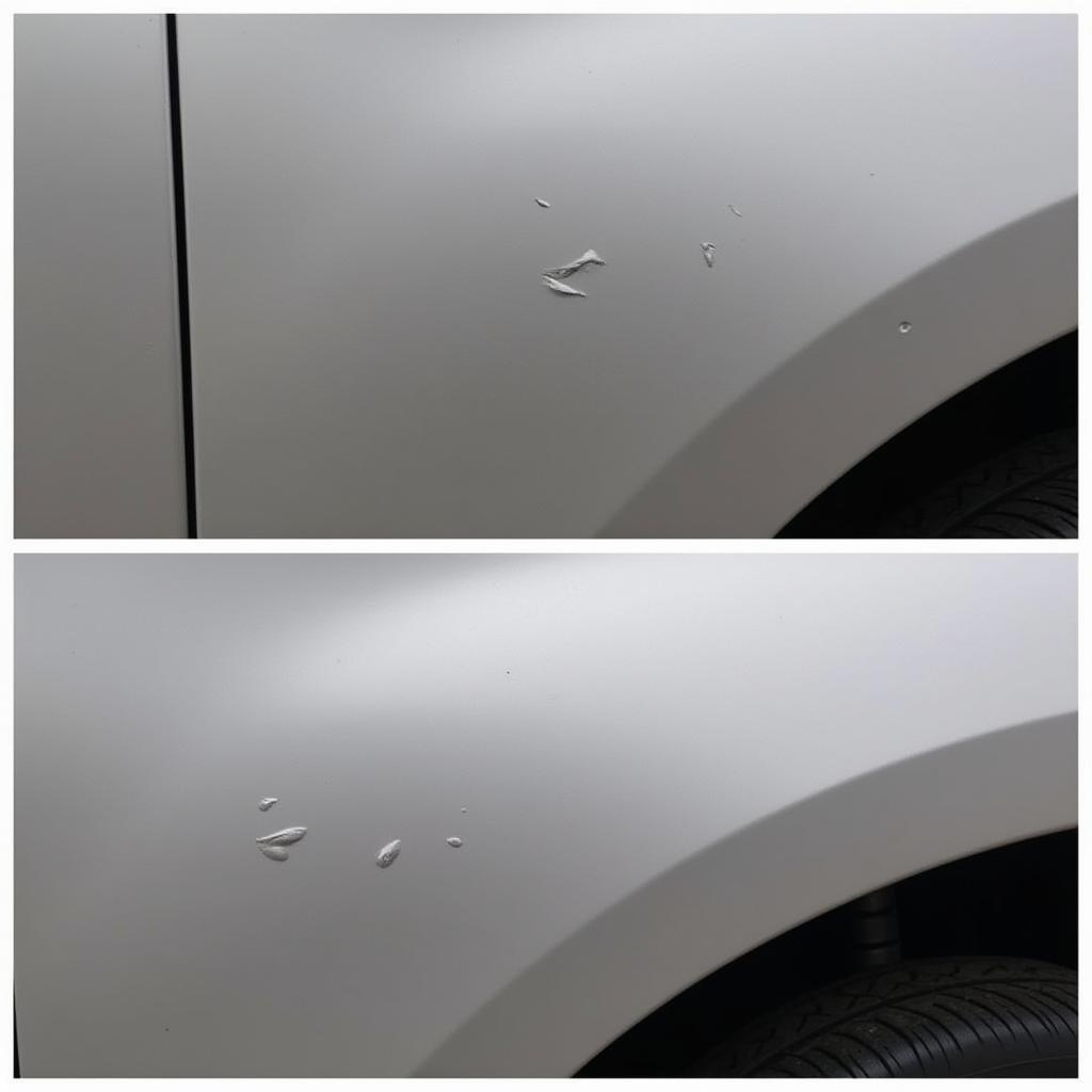 Car Detailing and Paint Chip Repair Before & After