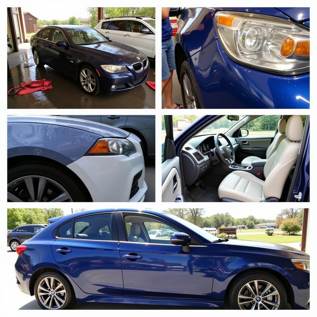 Car Detailing Services in Palatka