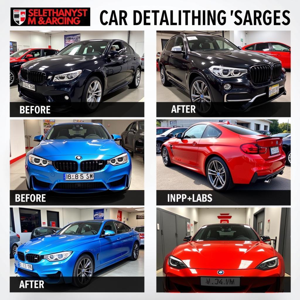 Car Detailing Services in Action