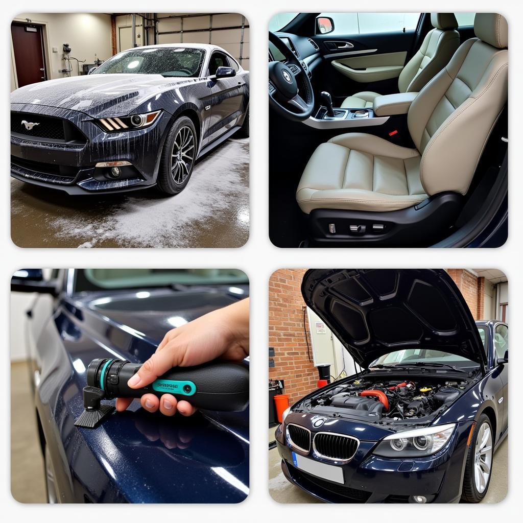 Car Detailing Services