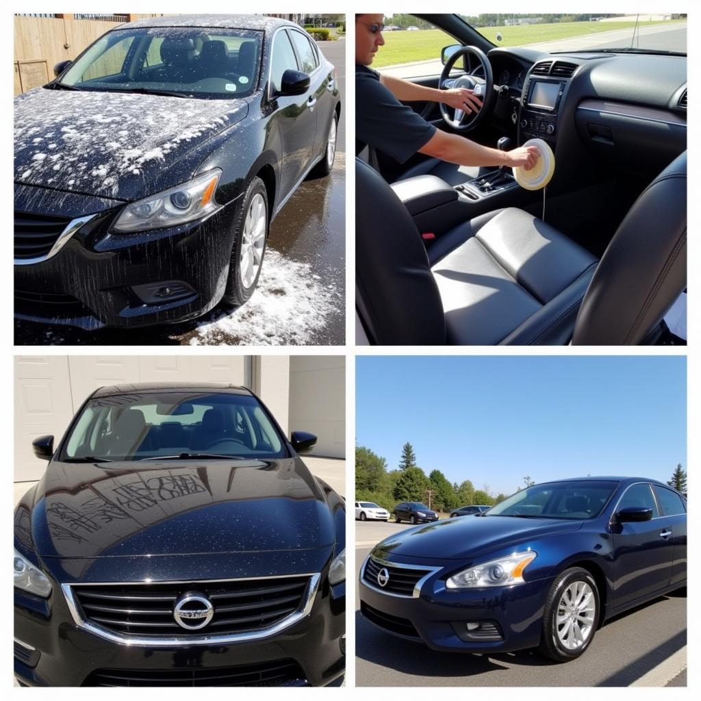 Car Detailing Services Options