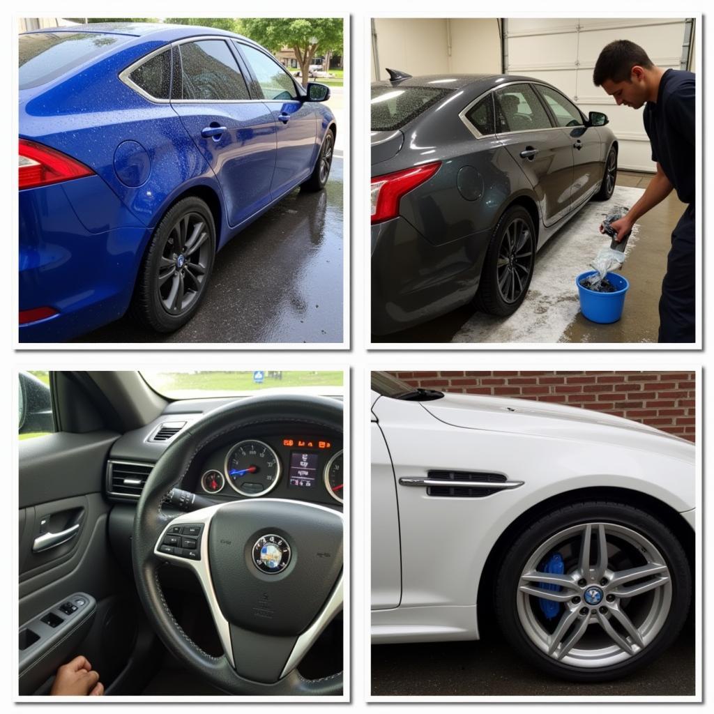 Car Detailing Services in Action