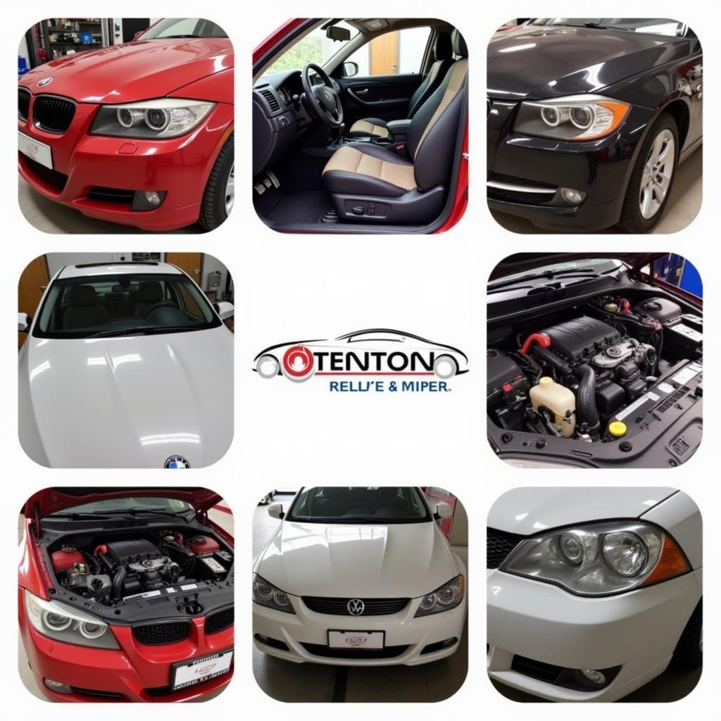 Car Detailing Services in Odenton