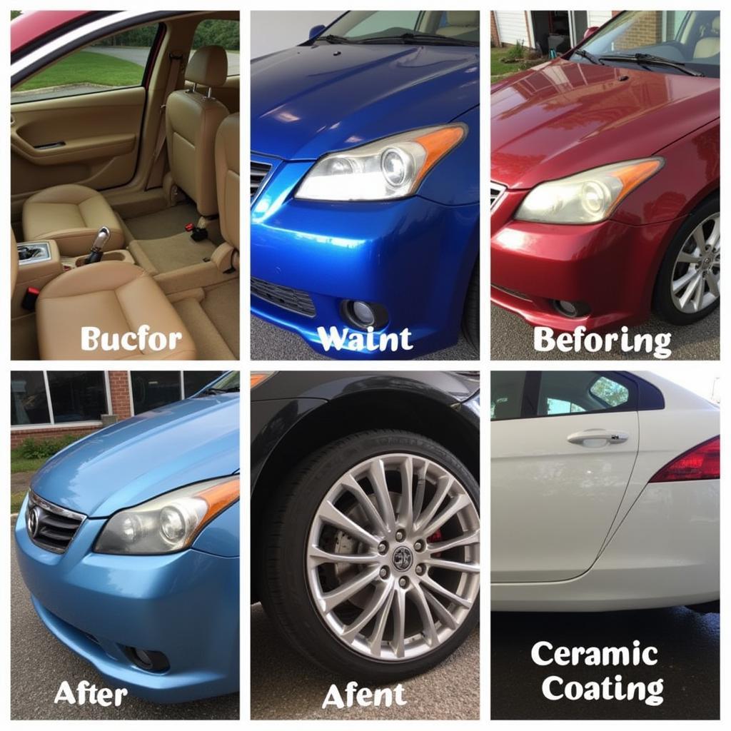 Car Detailing Services in Southern New Jersey