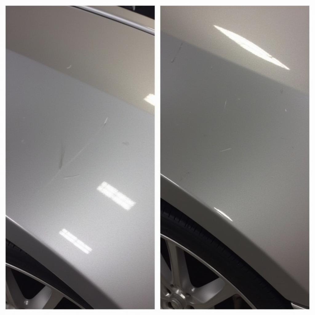 Car Detailing Special: Paint Correction