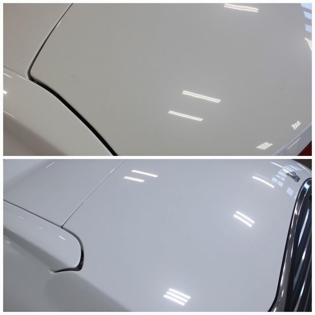 Car detailing Tallahassee paint correction