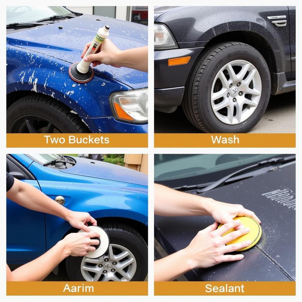 Demonstration of Car Detailing Techniques