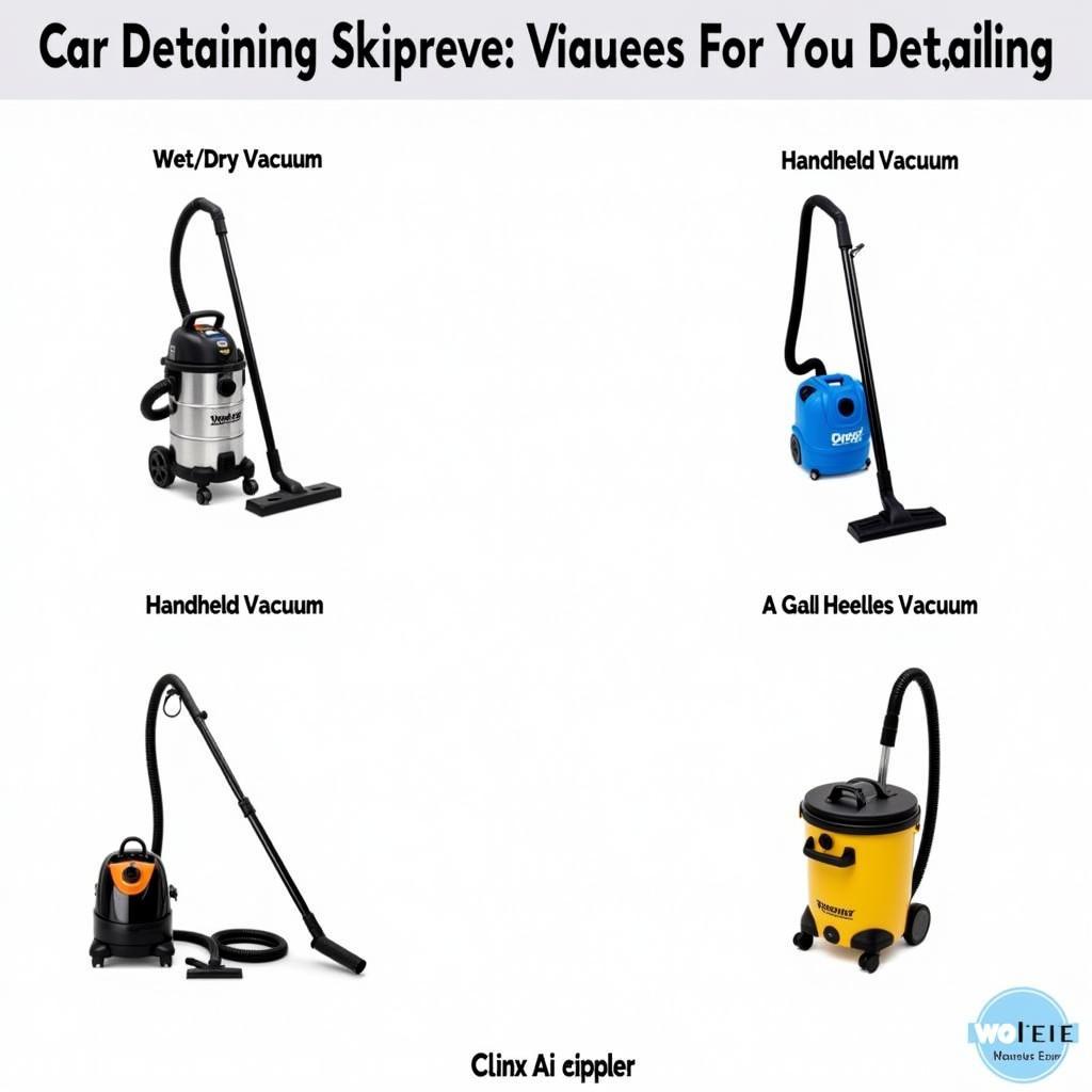 Different Car Detailing Vacuum Types