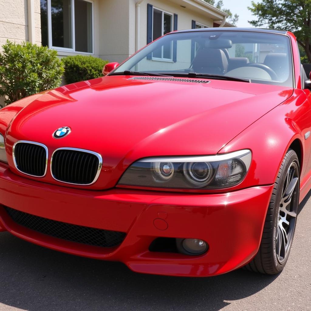 Car Exterior After Detailing Service