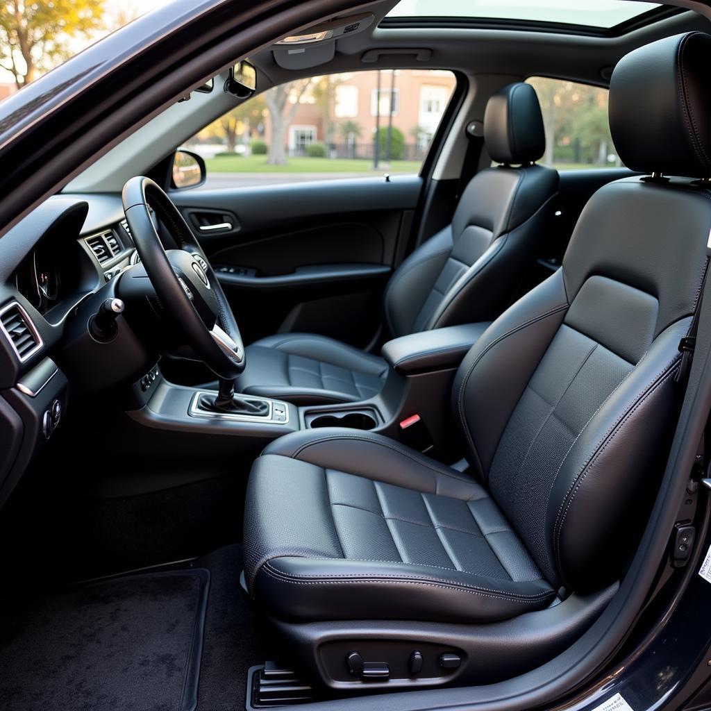 Professional Car Interior Detailing in Holyoke MA