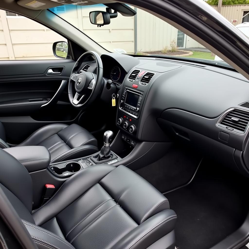 Professional Car Interior Detailing Sydney NS