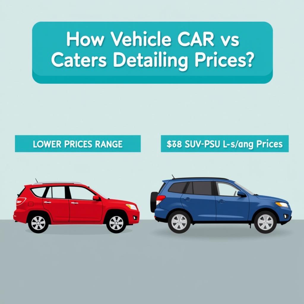 Car Sizes and Detailing Costs