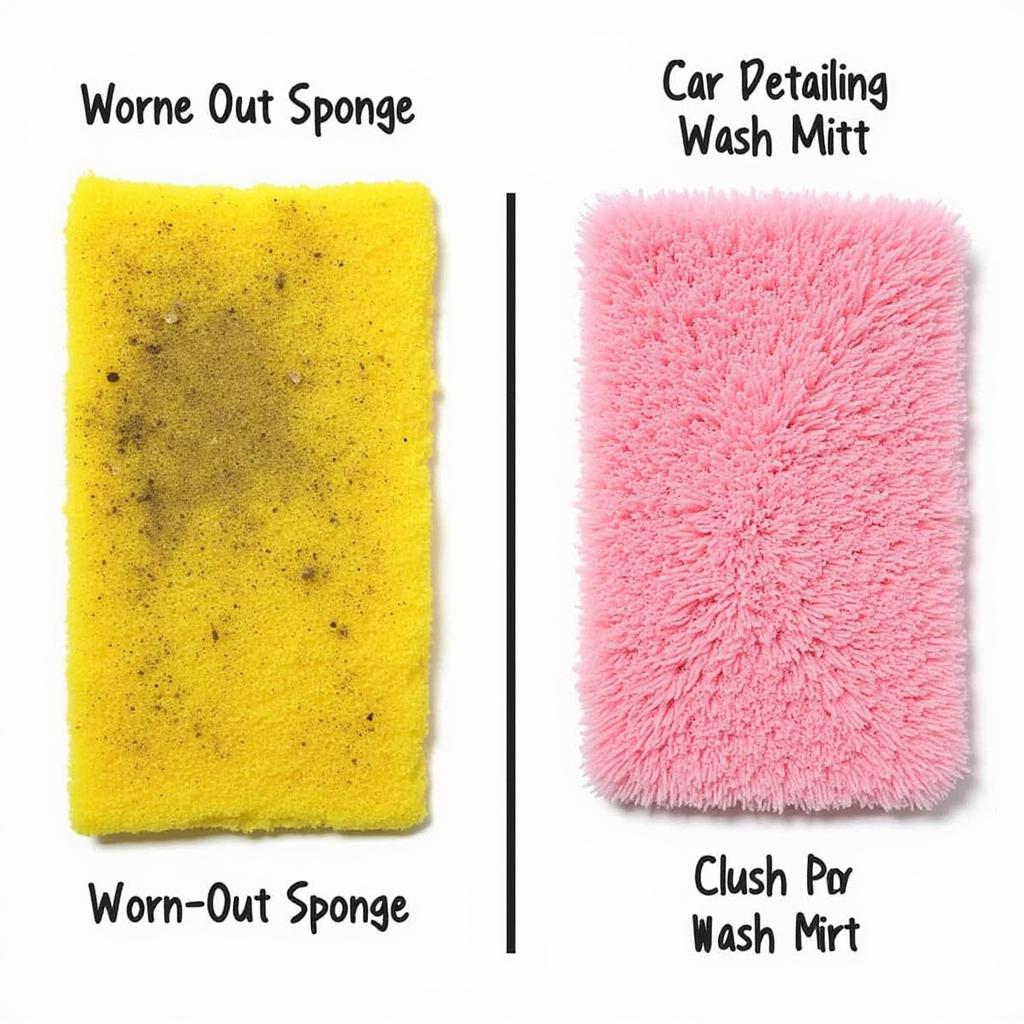 Car Wash Sponge vs. Mitt