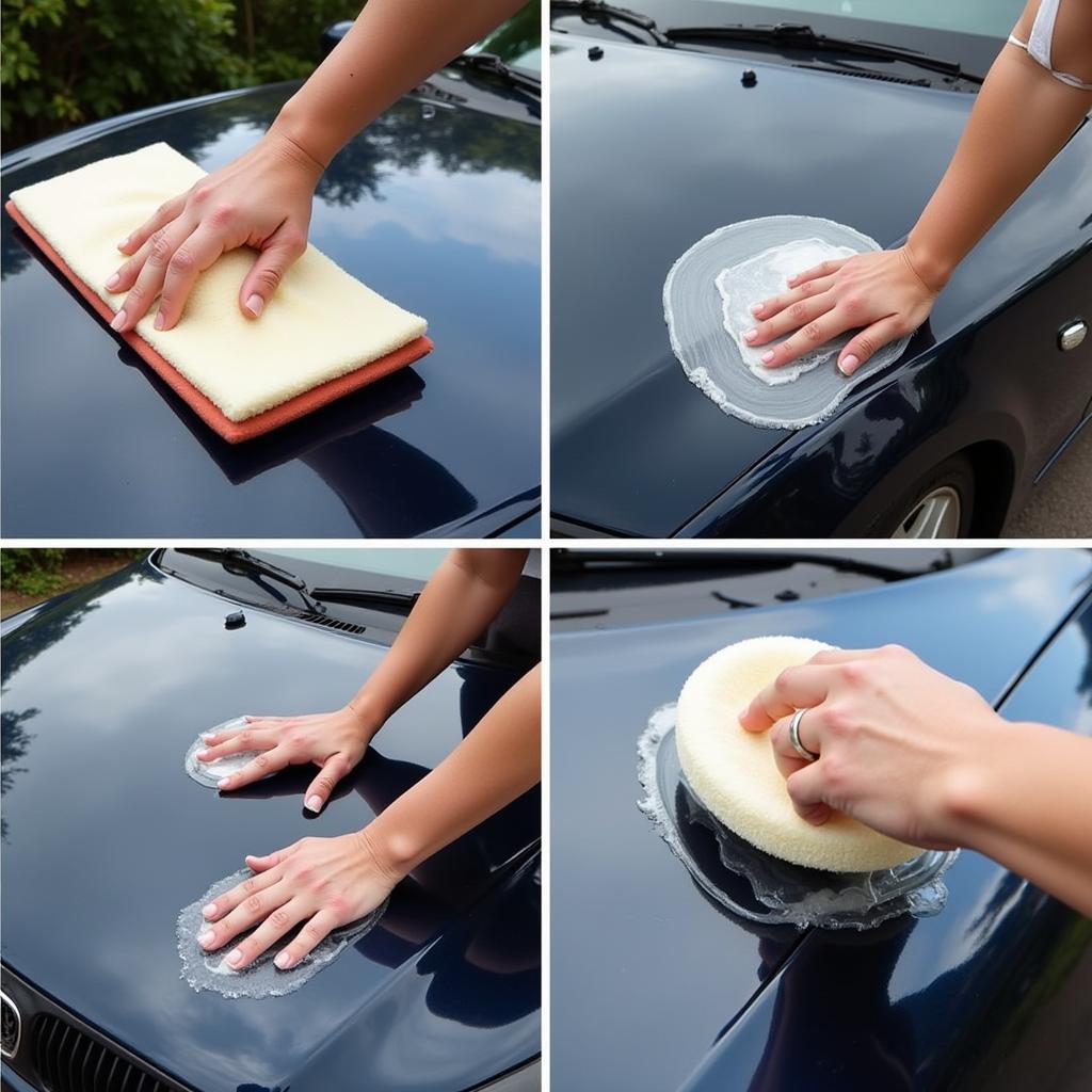  Applying car wax to a vehicle's exterior