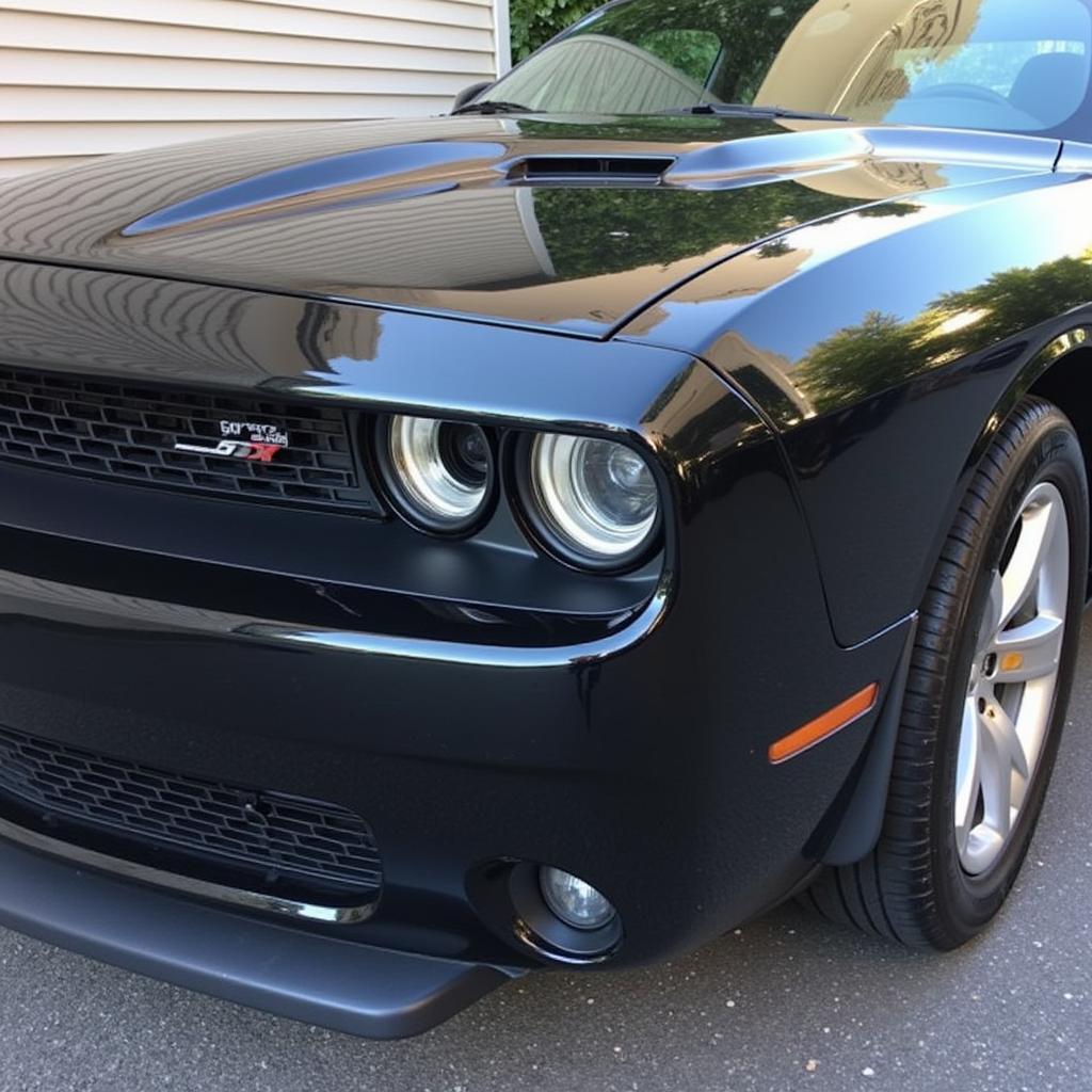 Clean Car After Detailing