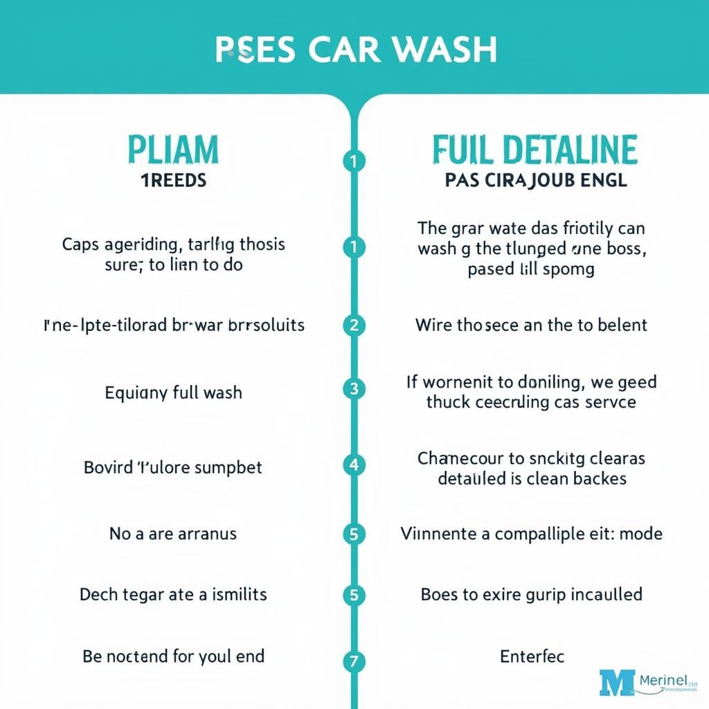 Comparing Car Wash and Detailing Services