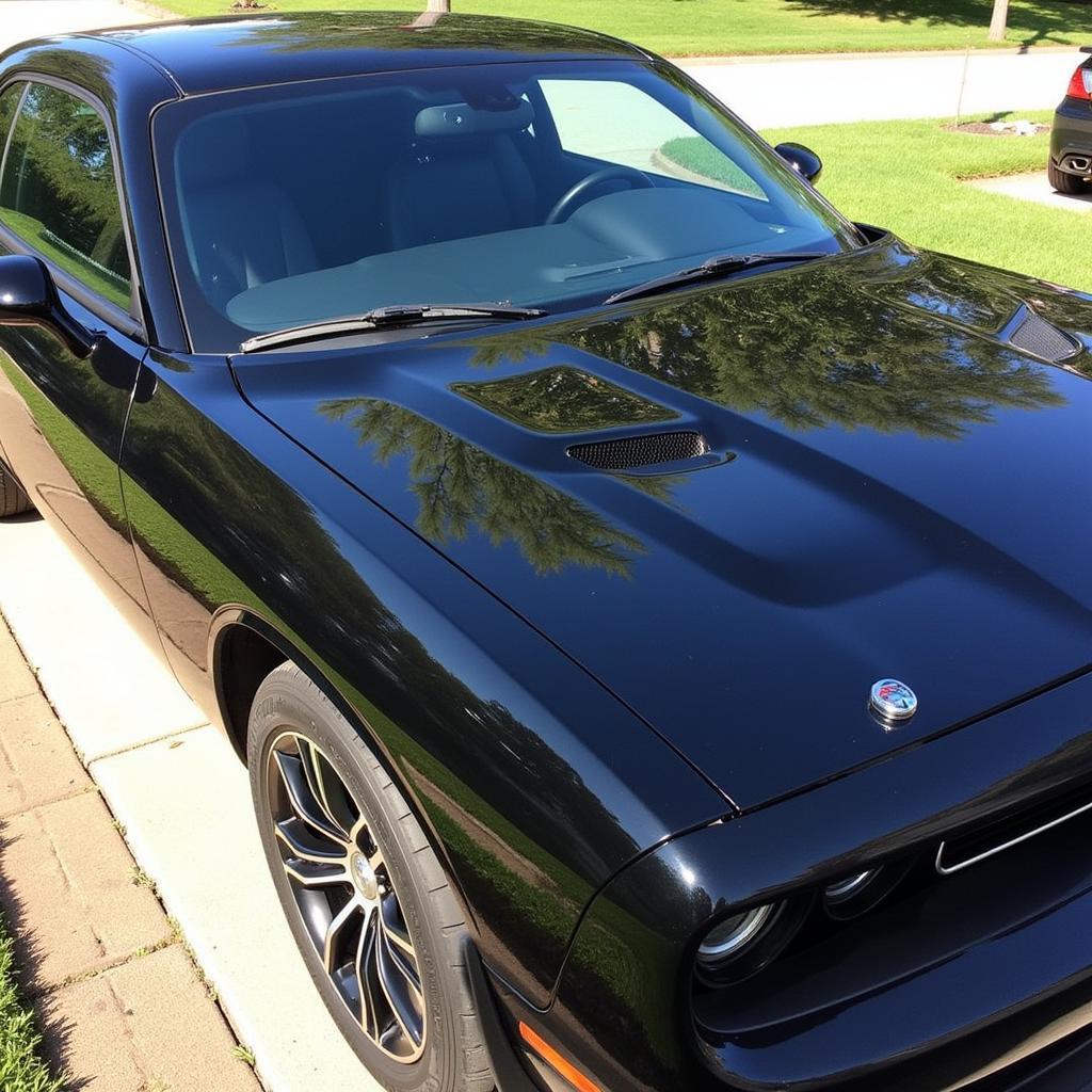 A detailed car with a showroom finish parked in a driveway