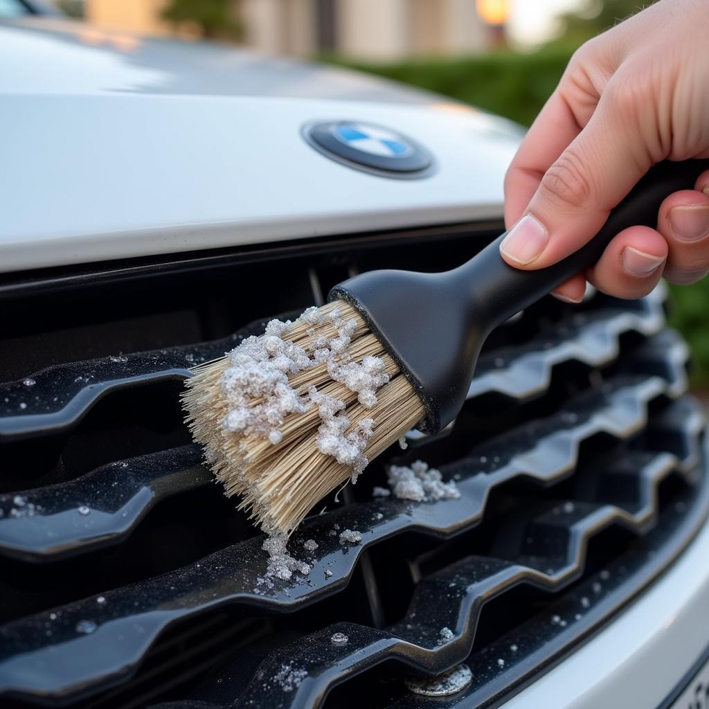 Detailing brush cleaning car grill