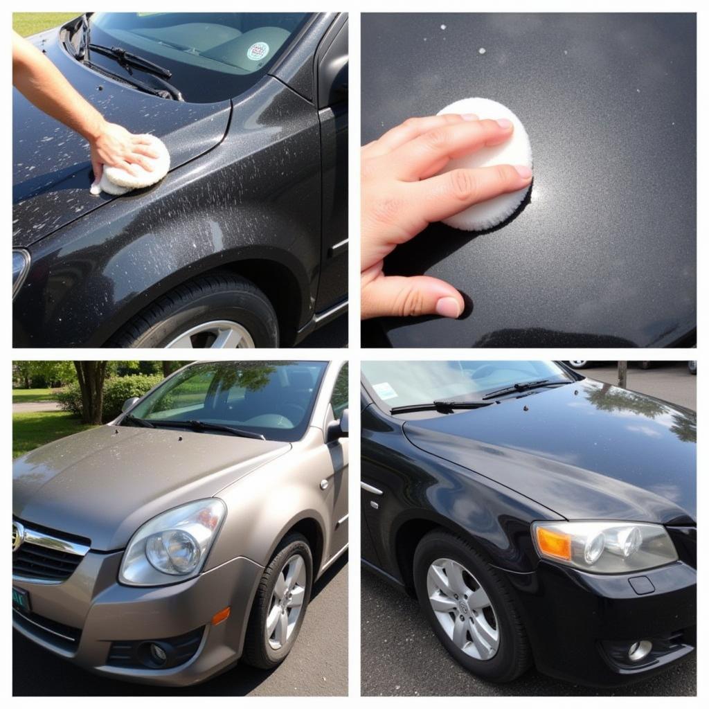 Range of exterior car detailing services