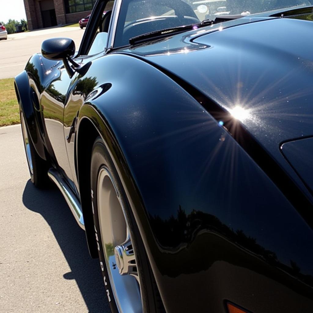 Finished Detailed Black Car