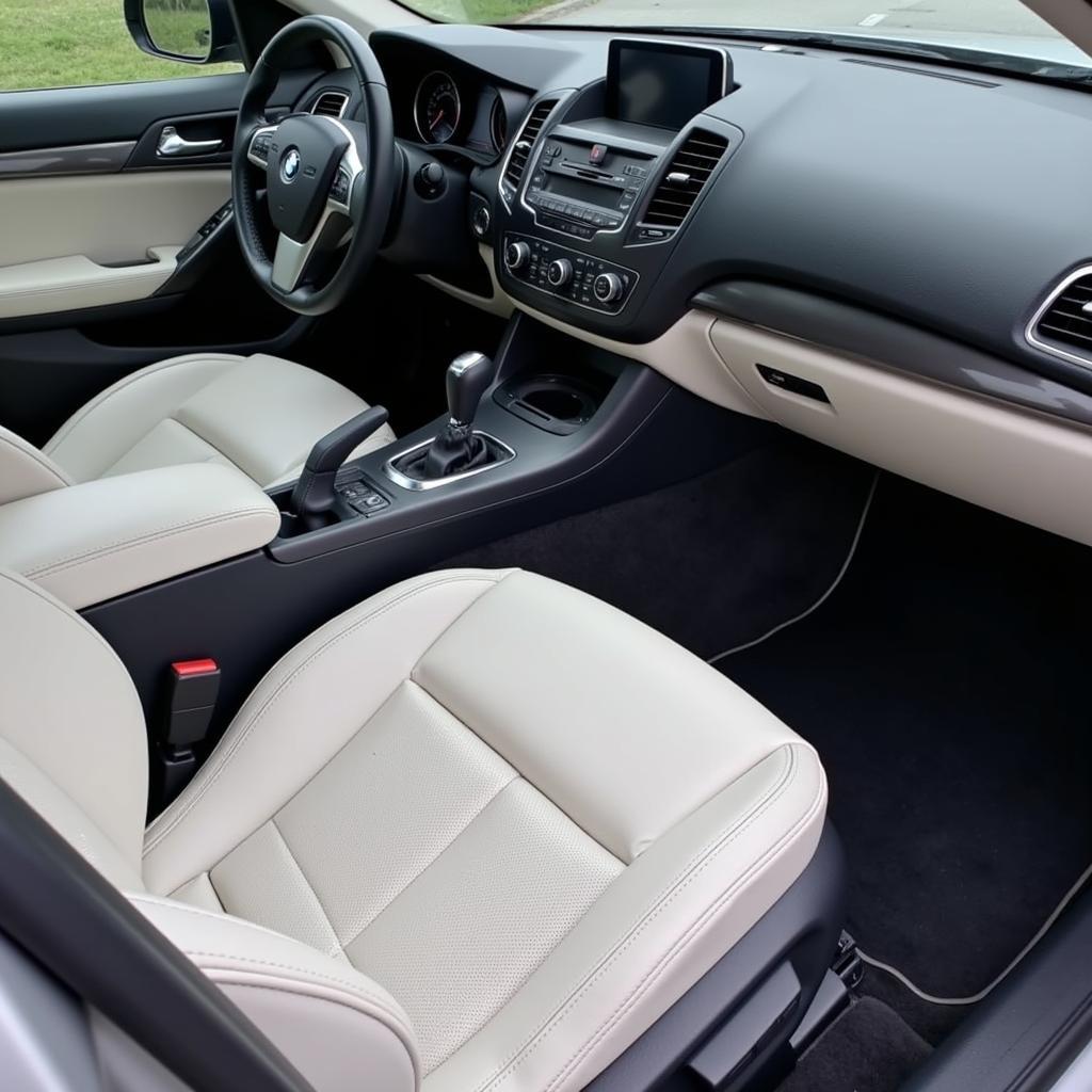 Interior Car Detailing in Houston