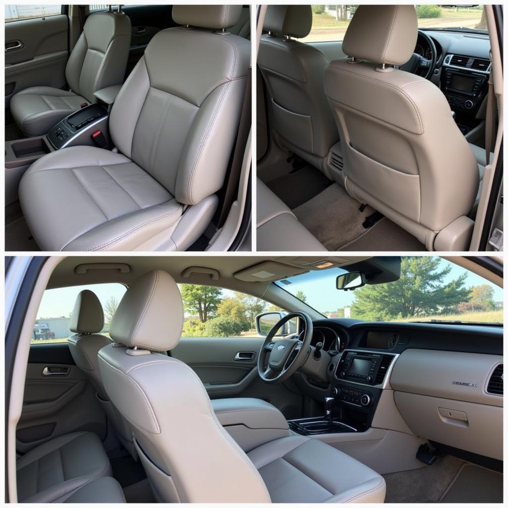 Interior Car Detailing Services in Indianola IA