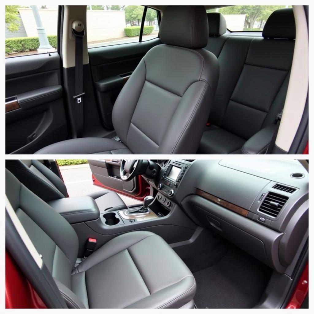 Interior Car Detailing Services Broward County