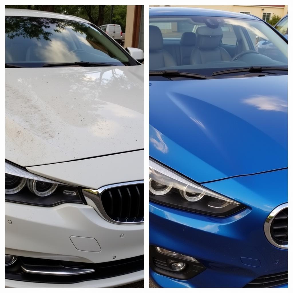 Jacksonville Car Detailing Before & After