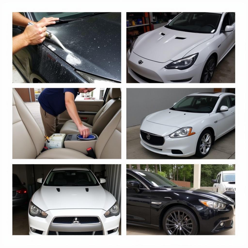 Car Detailing Services in Lecanto, FL