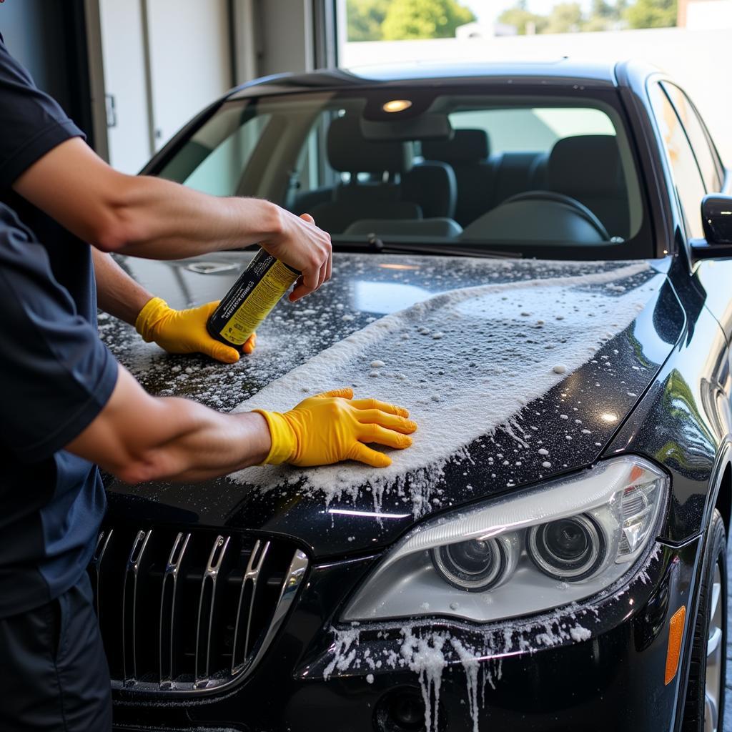 Los Angeles Car Detailing Exterior Wash