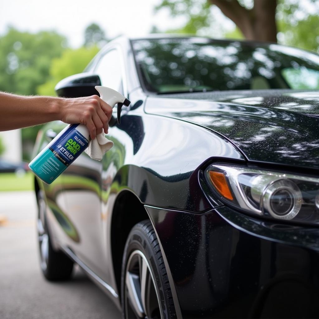 Maintain Car Detail Port Charlotte Florida