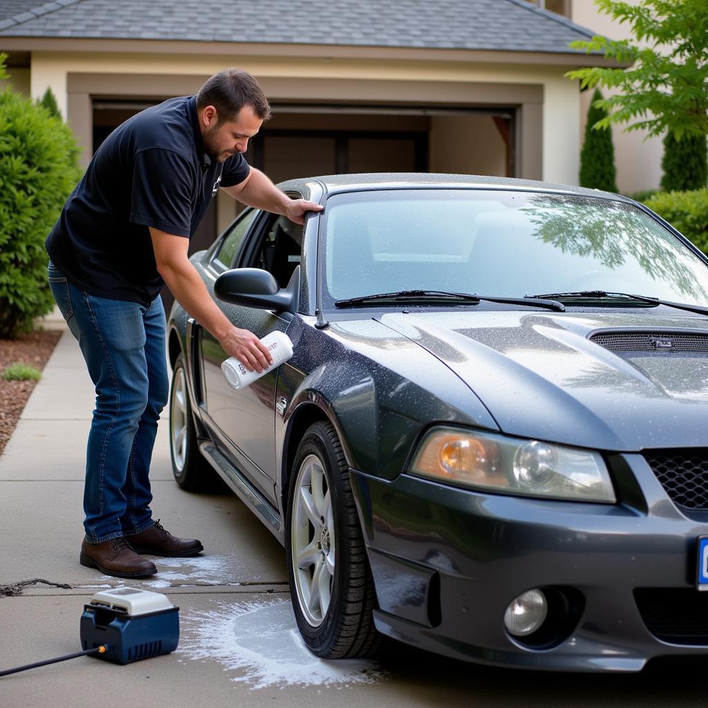 Mobile car detailer meticulously cleaning a car's exterior