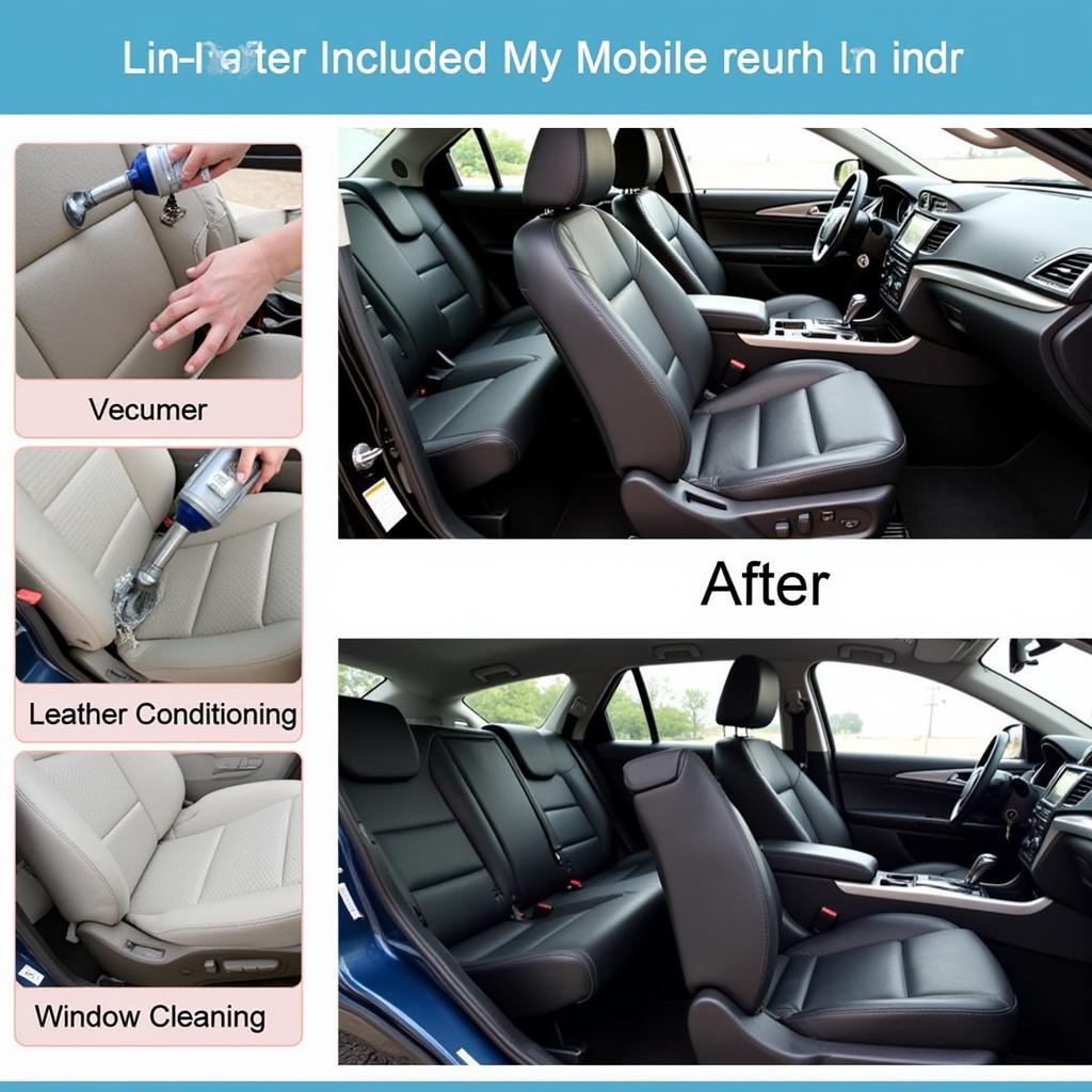 Mobile Interior Car Detailing Services