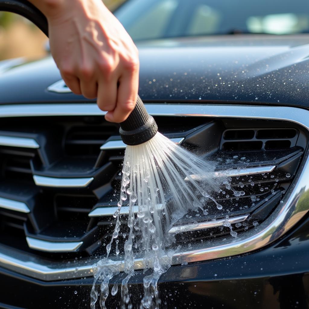 Pre-wash rinsing of car grill