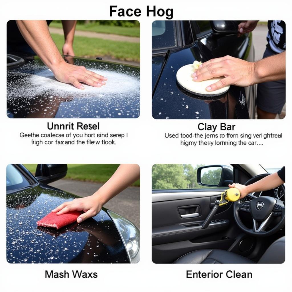 Professional Car Detailing Process