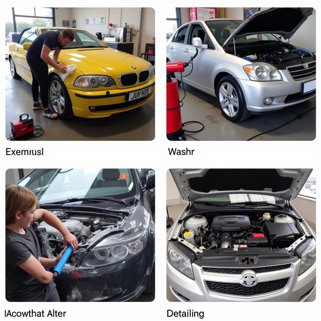 Seaford Car Detailing Services: A Range of Options