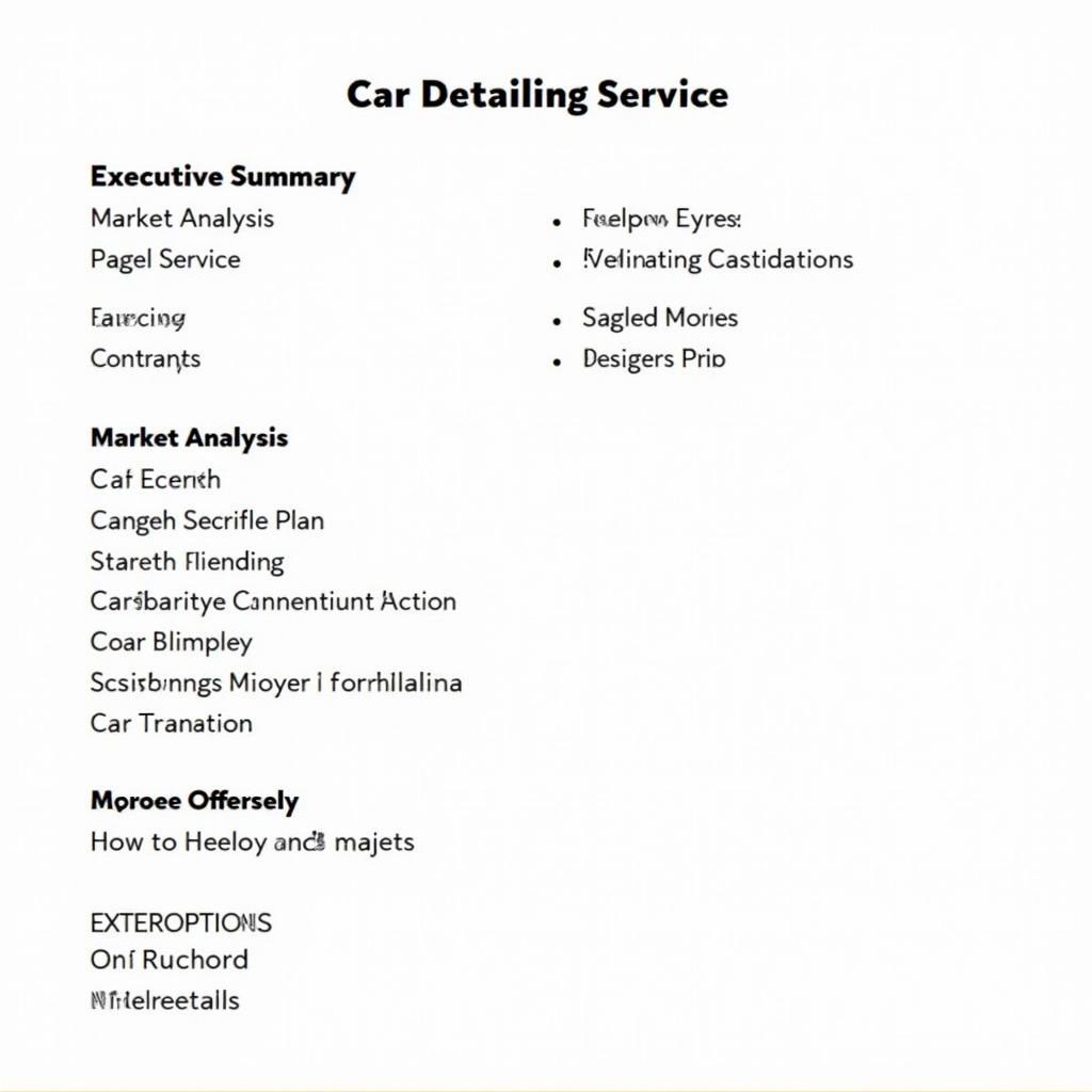 Car Detailing Business Plan Outline