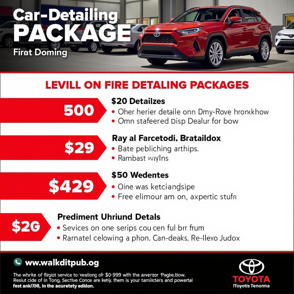 Toyota Car Detailing Packages