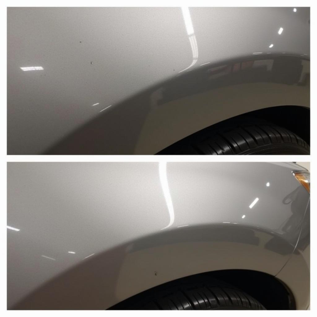 Twin Cities Car Detailing Paint Correction