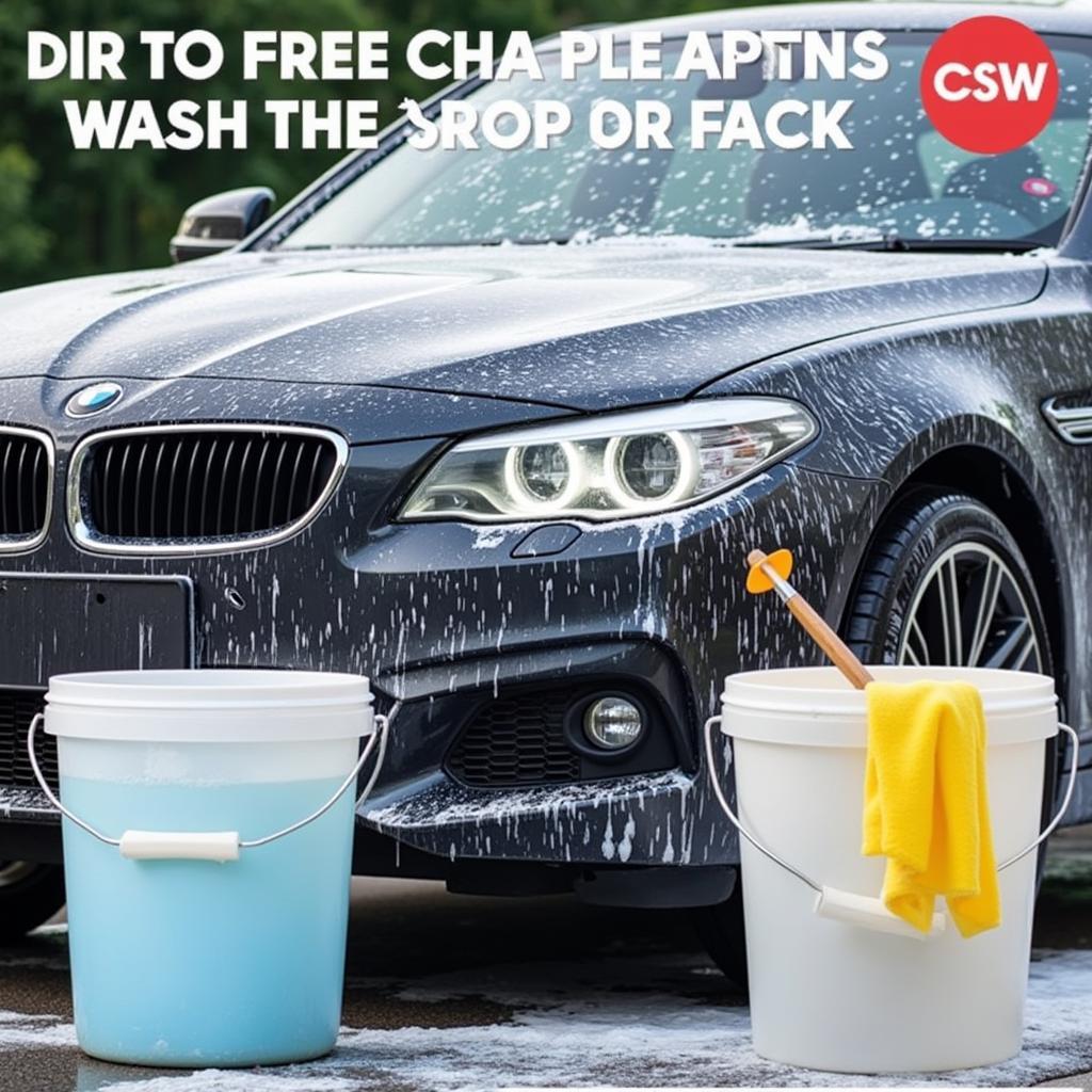 Car wash using the two-bucket method