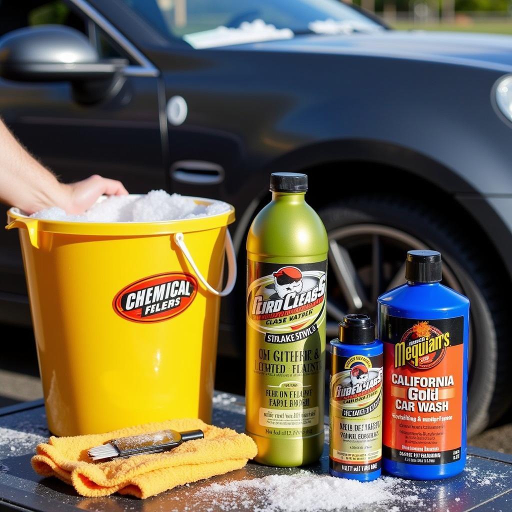 Top Car Wash Products of 2013